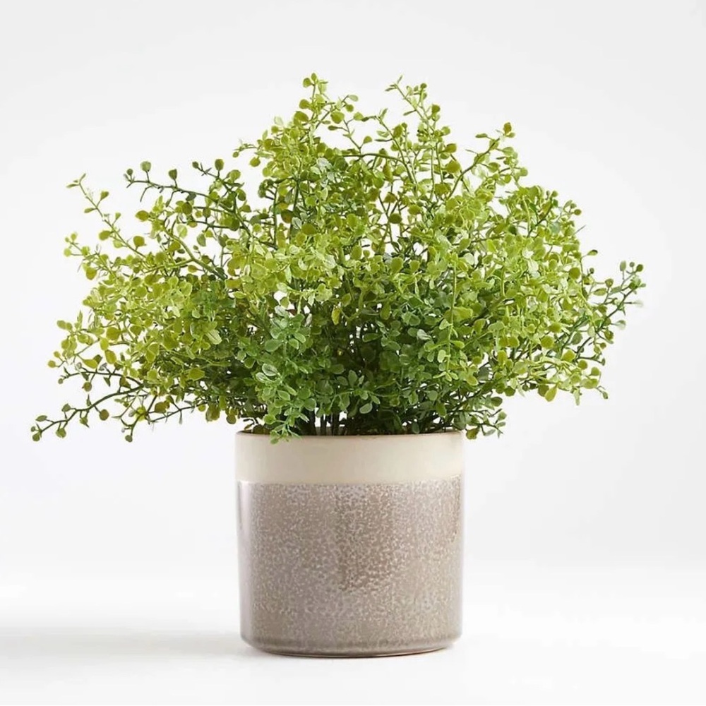 Crate & Barrel Faux Plant Greenery in Cream Planter